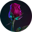 Client 23