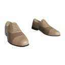 Elegant shoes