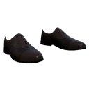 Elegant shoes
