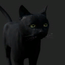 Salem