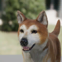 Maki