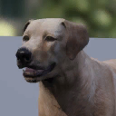 Pluto