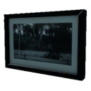 Framed photograph