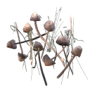 Psilocybin mushrooms (dirty)