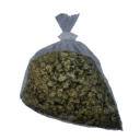 Cannabis Sativa